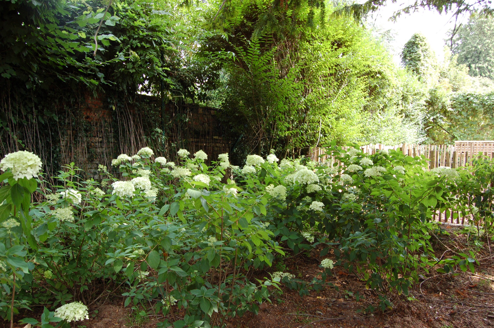 Parc Rouge-Cloitre Auderghem 6