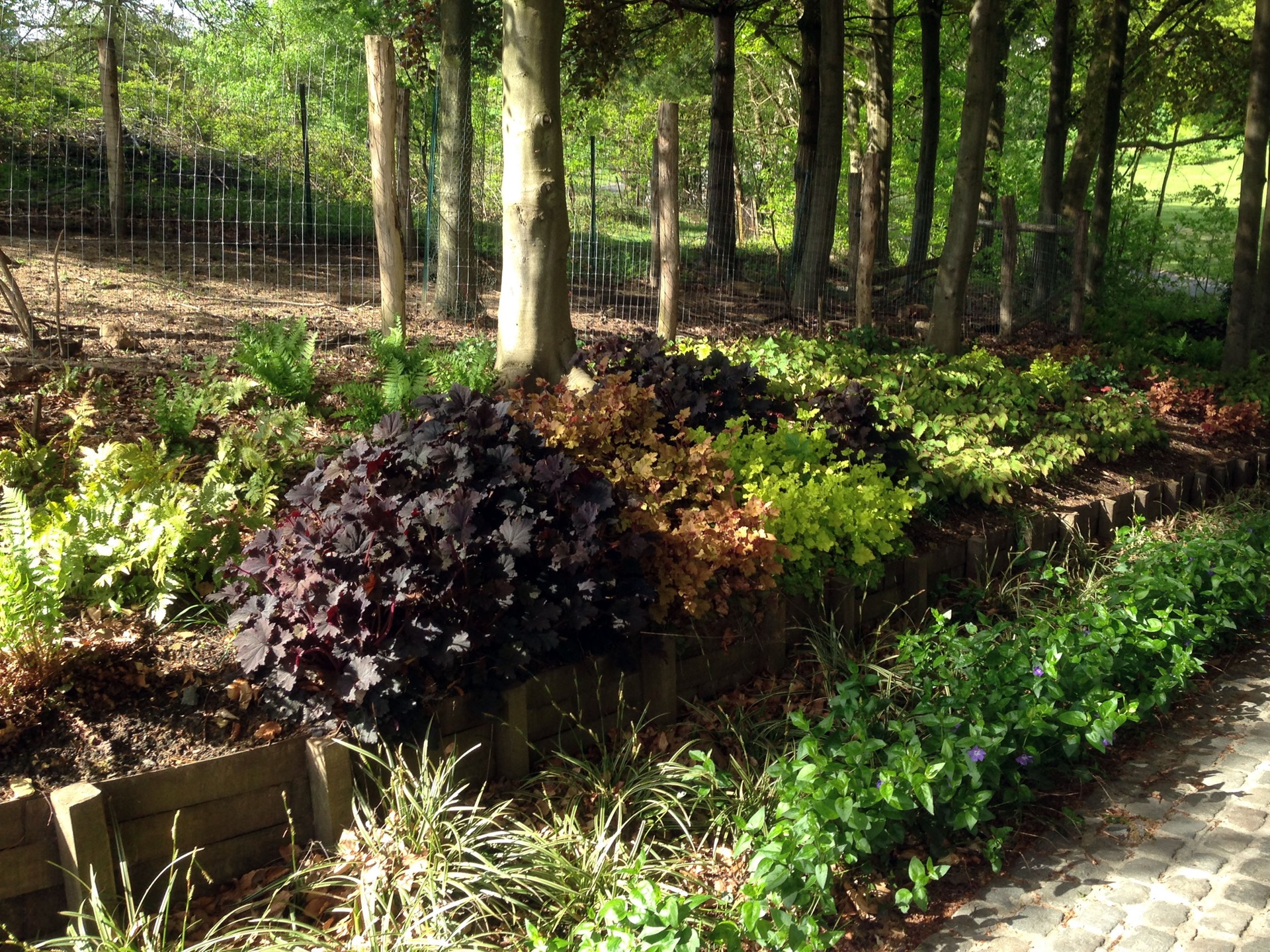 Parc Rouge-Cloitre Auderghem 11