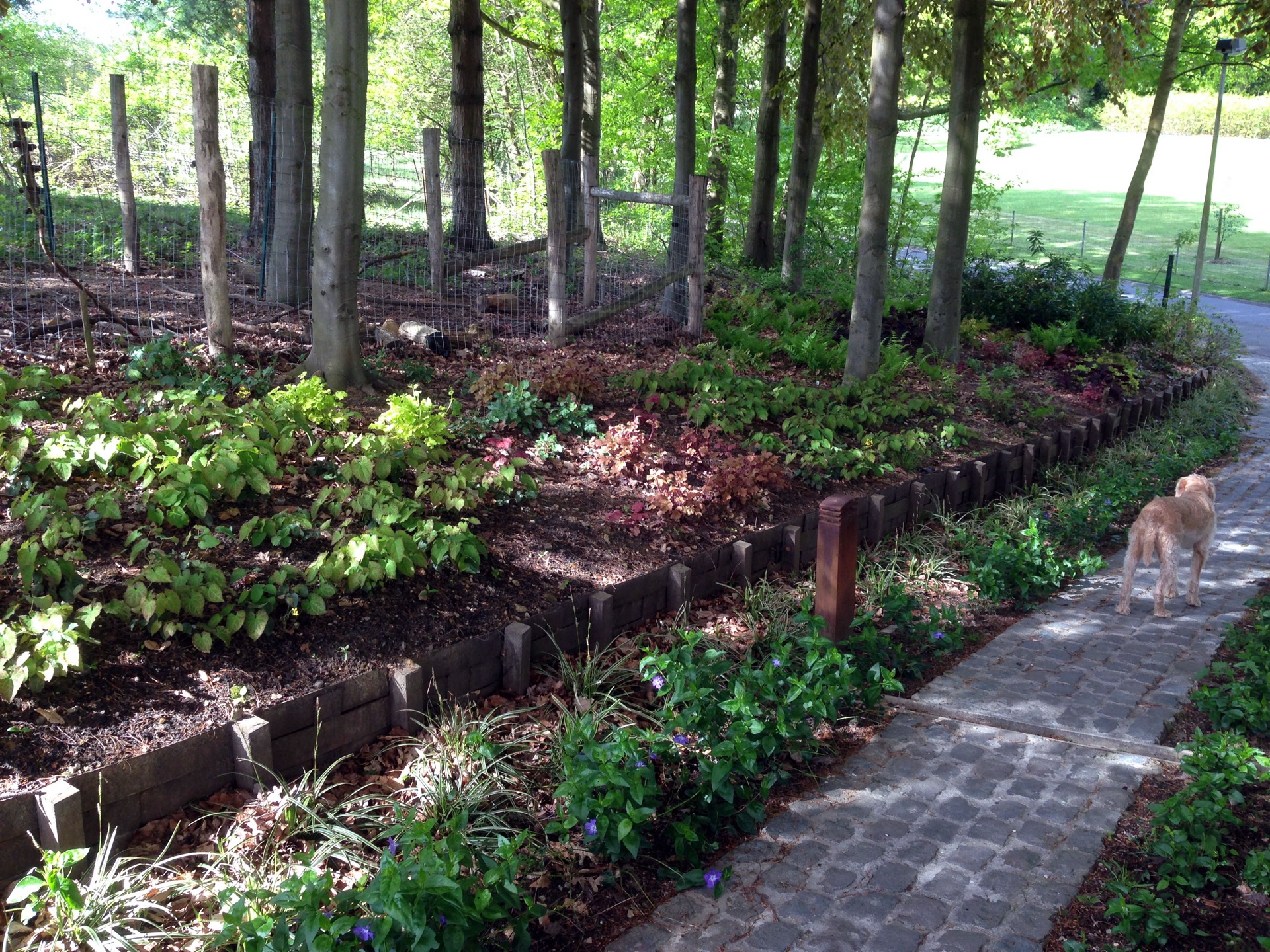 Parc Rouge-Cloitre Auderghem 12