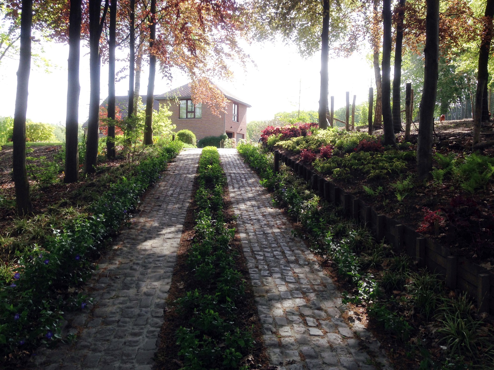 Parc du Rouge-Cloître Auderghem — vue 13