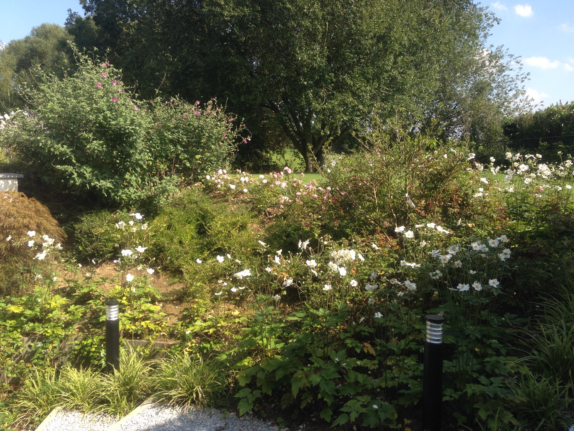 Parc du Rouge-Cloître Auderghem — vue 14