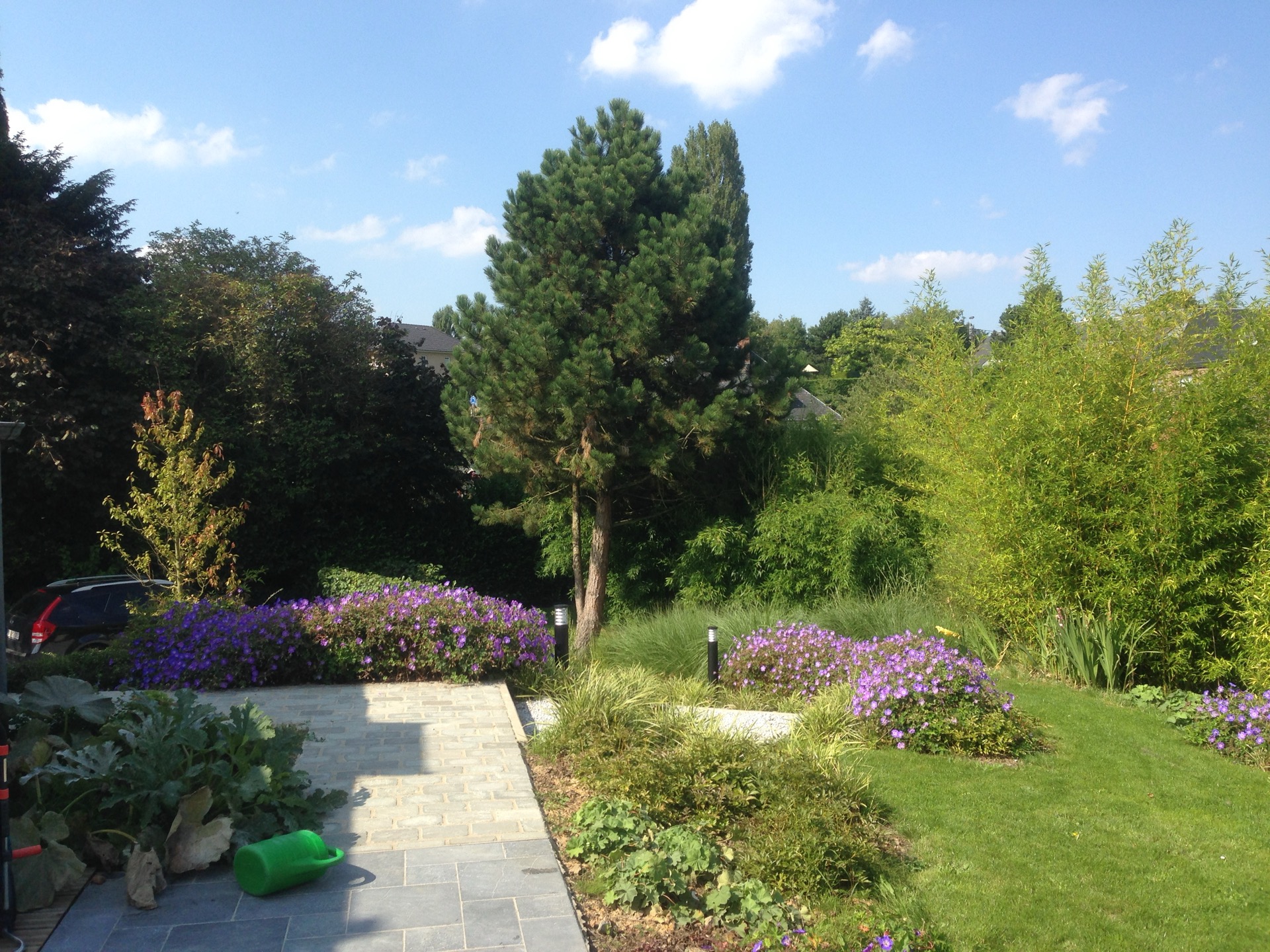 Parc du Rouge-Cloître Auderghem — vue 15