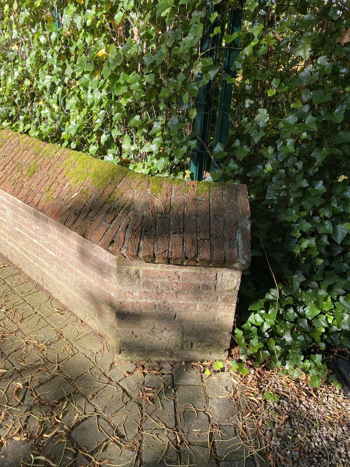 Groenendaallaan Overijse — vue 4