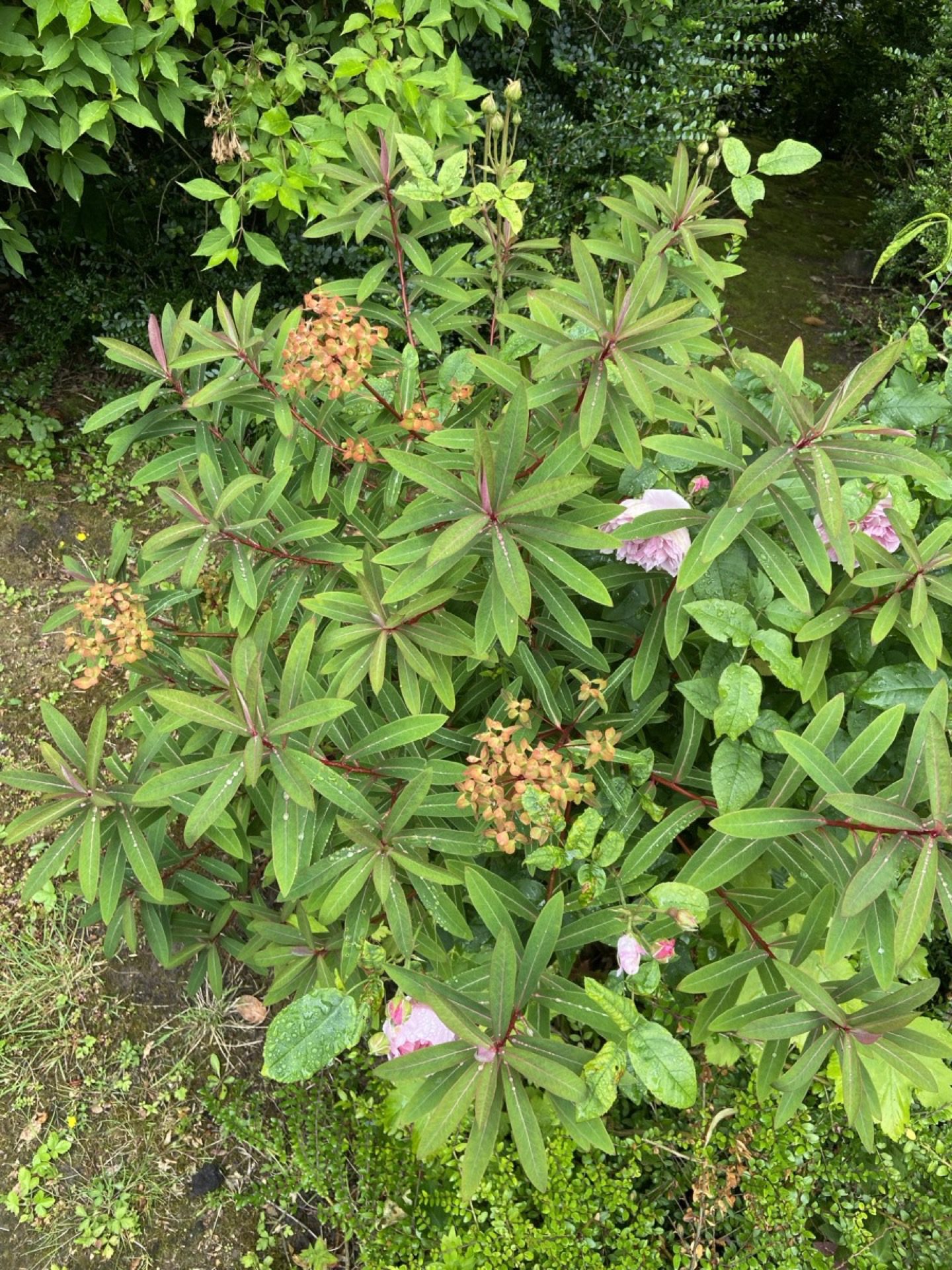 Groenendaallaan Overijse 8