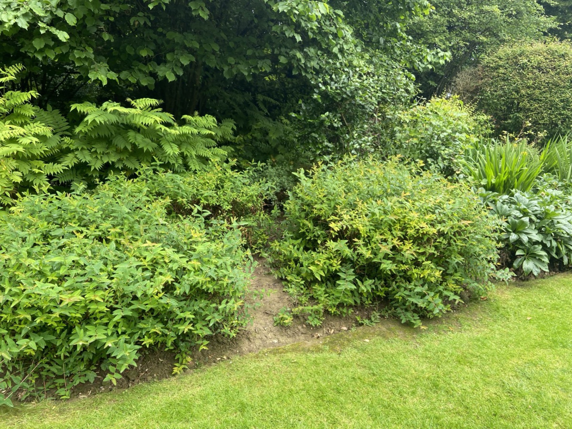 Groenendaallaan Overijse 9