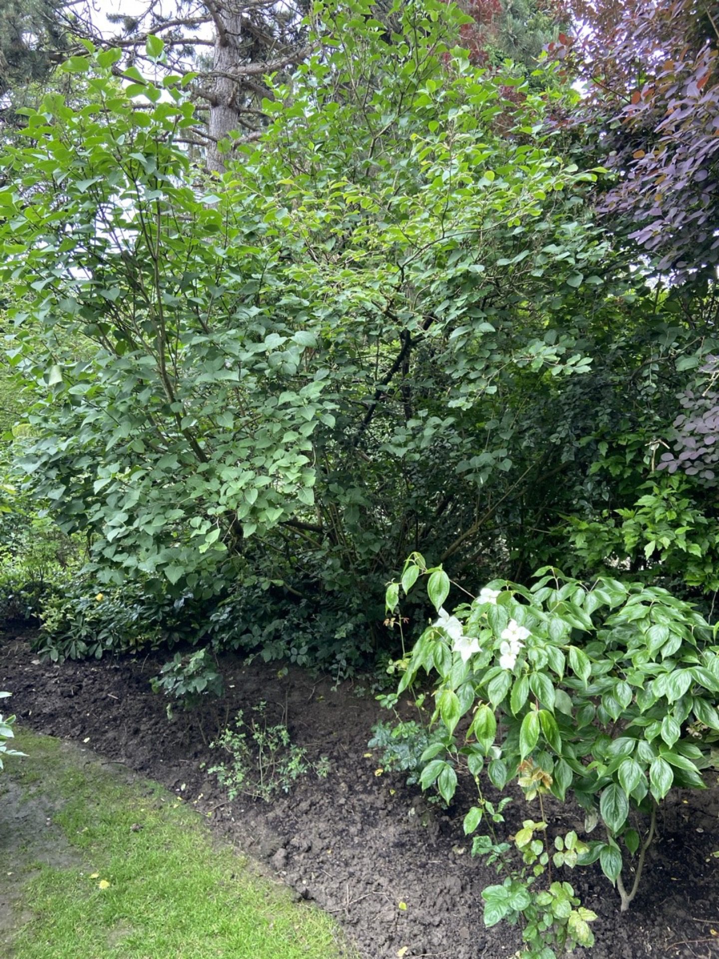 Groenendaallaan Overijse 10