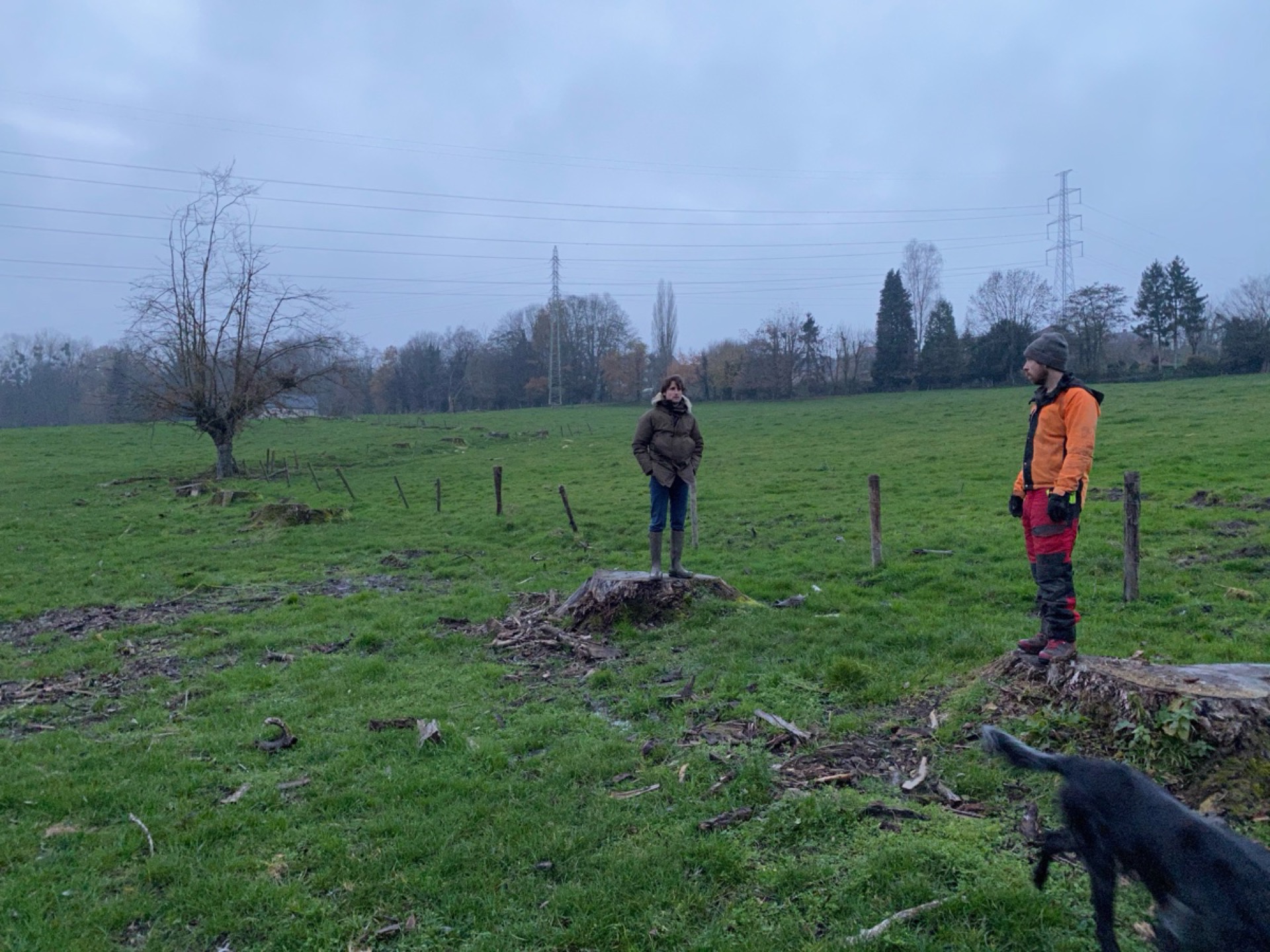 Jardin Virginal Brabant wallon — vue 3