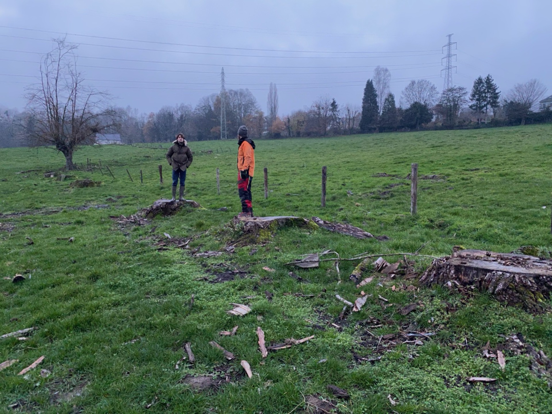 Jardin Virginal Brabant wallon — vue 4