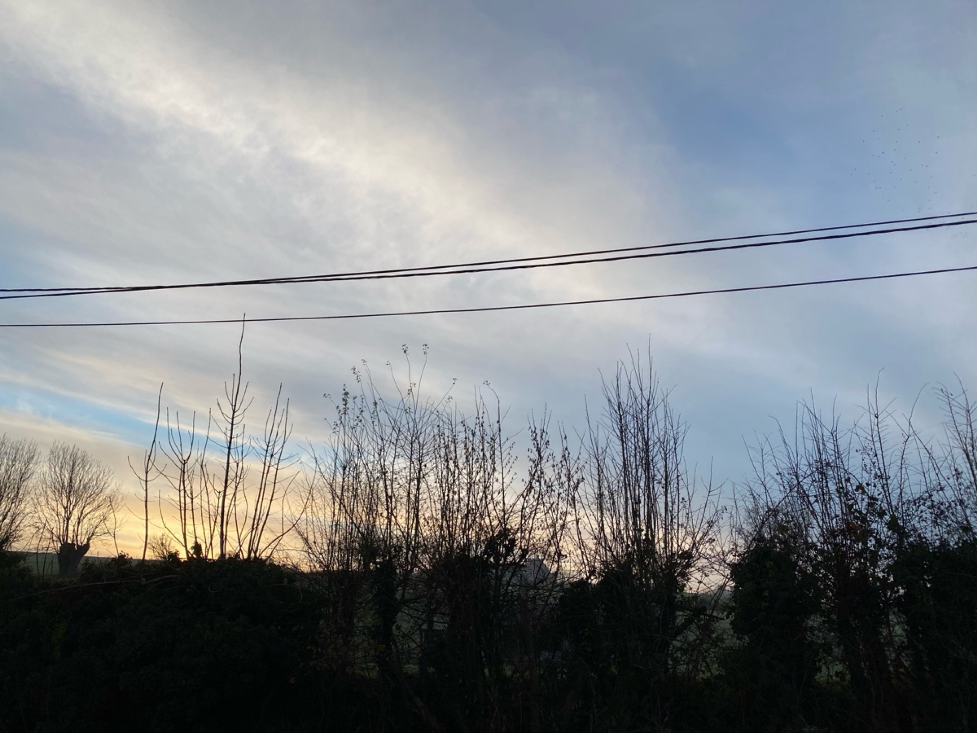 Jardin Virginal Brabant wallon — vue 5