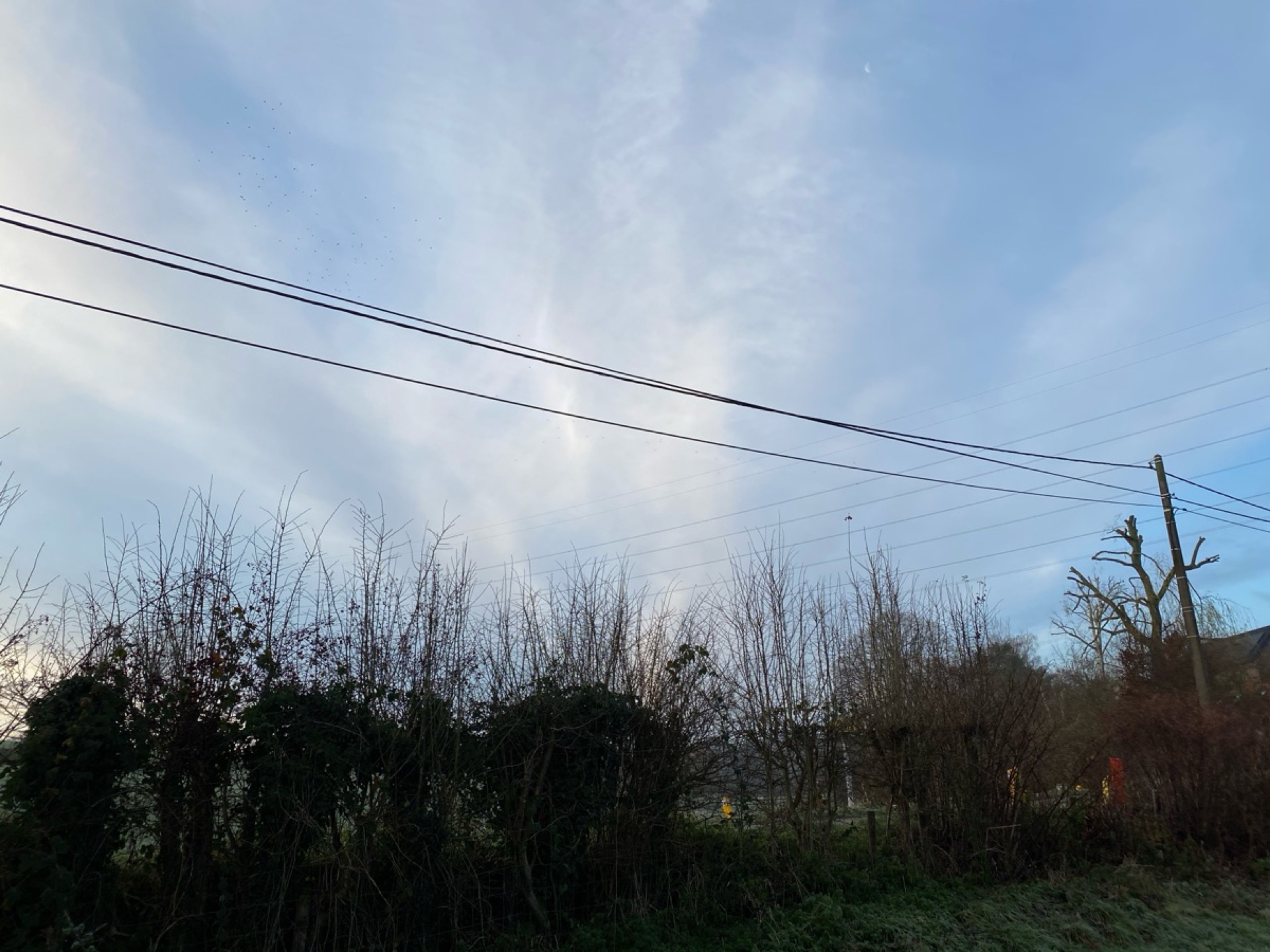 Jardin Virginal Brabant wallon 6