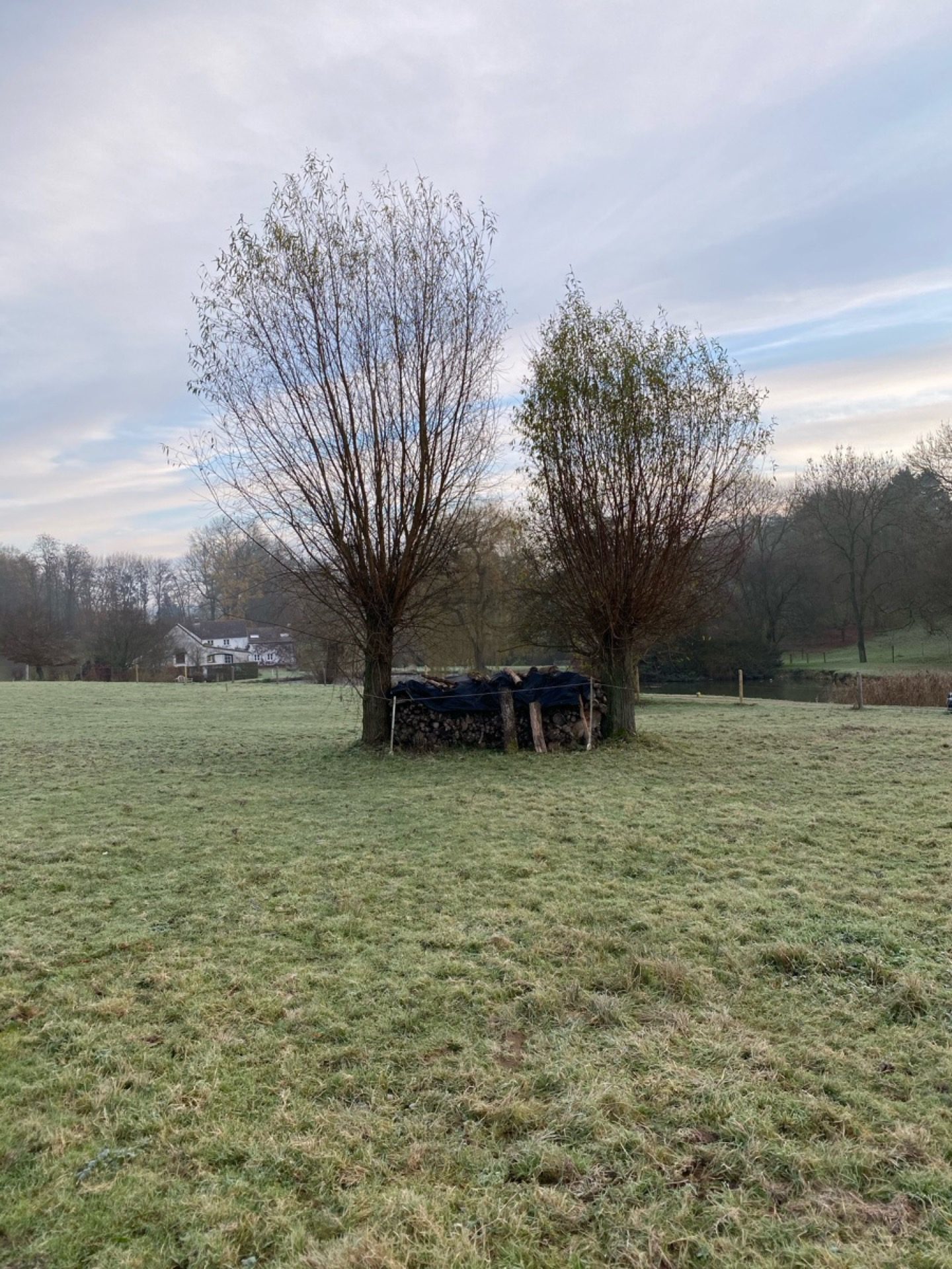 Jardin Virginal Brabant wallon 7