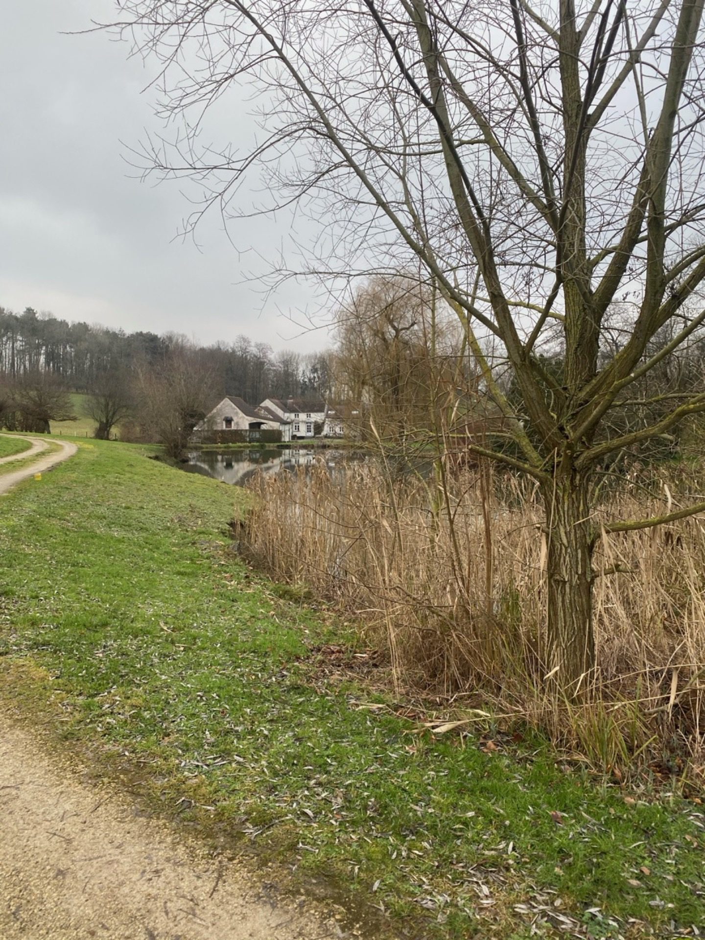 Jardin Virginal Brabant wallon — vue 8