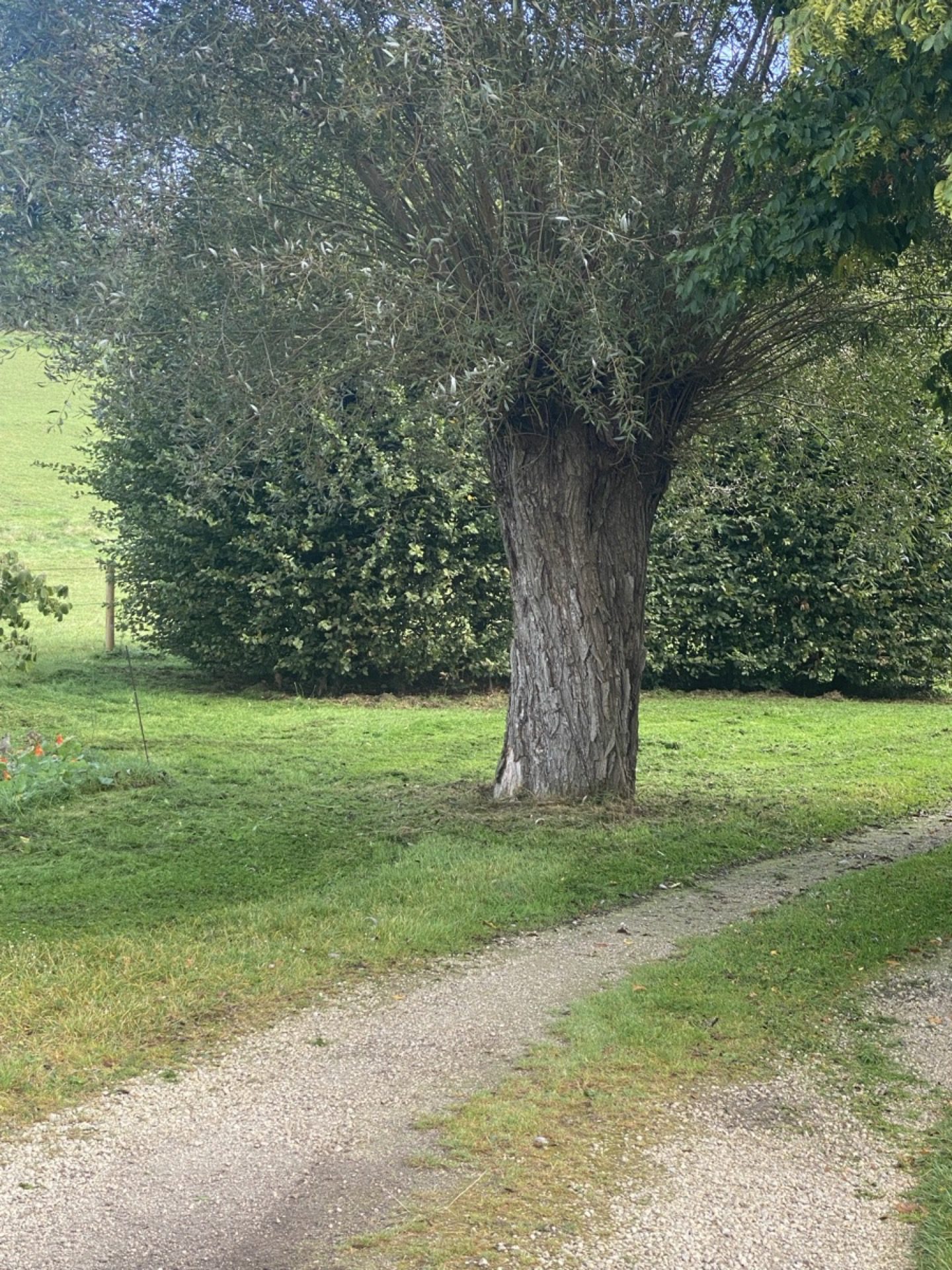 Jardin Virginal Brabant wallon — vue 15